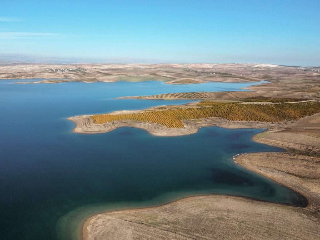 Exploring The Neon Oasis A Guide To Kayak Tours In Las Vegas Veteran
